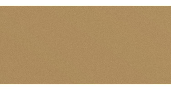 Сайдинг CEDRAL smooth (гладкий) С11 купить в Иркутске