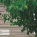 Сайдинг Ю-Пласт TIMBERBLOCK Пихта (Тимберблок) Cахалинская купить в Иркутске