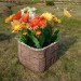 Цветник КАНЬОН купить в Иркутске