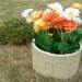 Цветник КАНЬОН купить в Иркутске
