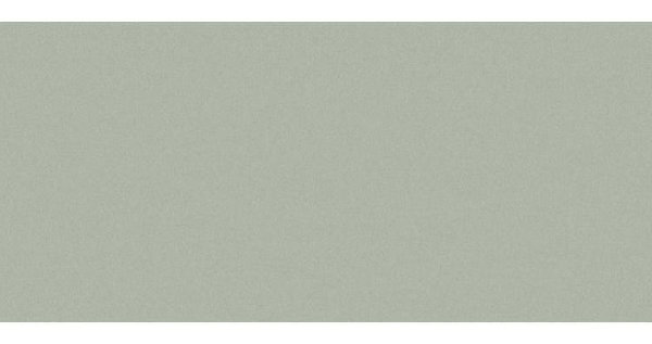 Сайдинг CEDRAL smooth (гладкий) С06 купить в Иркутске